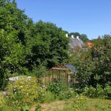 Urban Farming in Denmark - besøg i Bredes gamle arbejderhaver